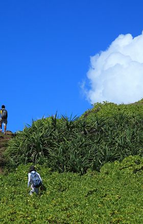 禁断の島