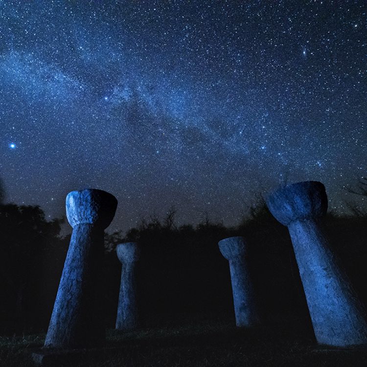 星空鑑賞