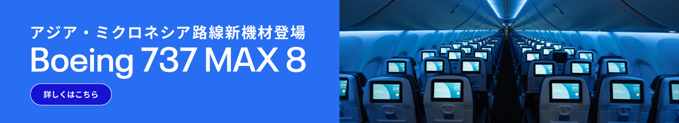 ユナイテッド航空 ボーイング737 MAX 8