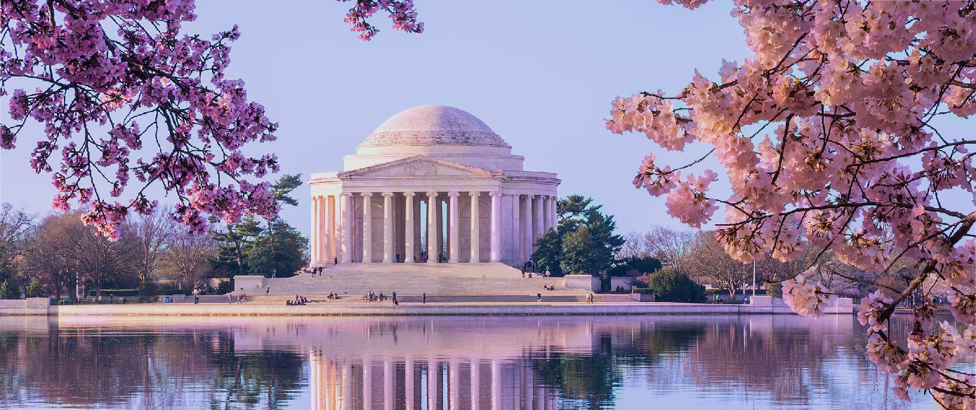 ユナイテッド航空 ワシントンD.C.